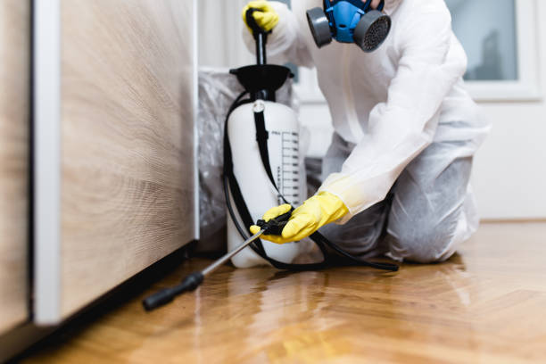 Best Affordable Exterminators  in Knoxville, TN