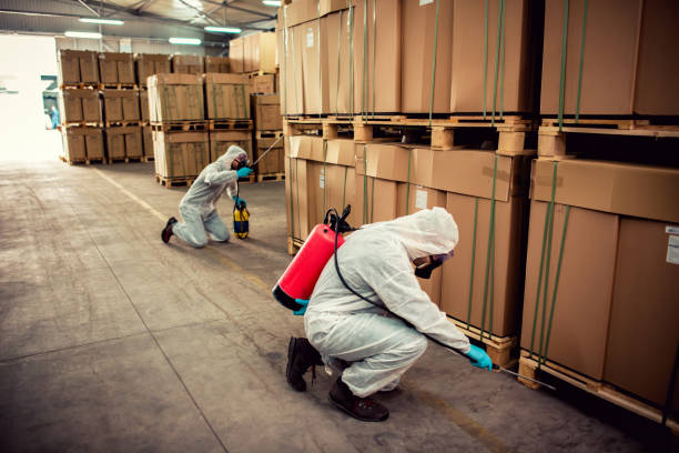 Best Bed Bug Extermination  in Knoxville, TN