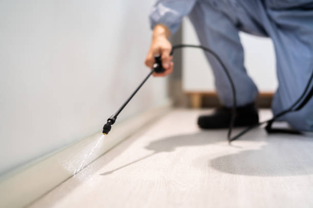 Reliable Knoxville, TN Pest Control Solutions
