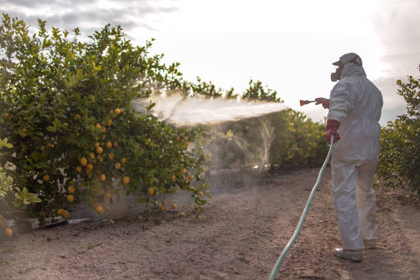 Best Pest Inspection Near Me  in Knoxville, TN