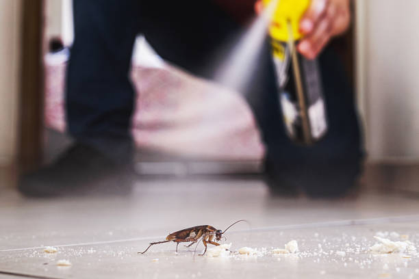 Best Pest Control Near Me  in Knoxville, TN