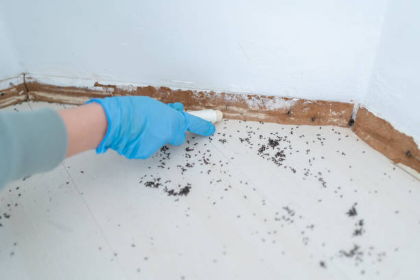 Best Exterminator Services  in Knoxville, TN